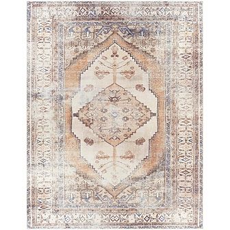 Kwadijk Traditional Washable Area Rug
