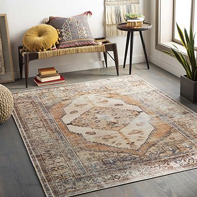 Kwadijk Traditional Washable Area Rug