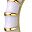 Gold Tone White