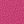 New Fuchsia