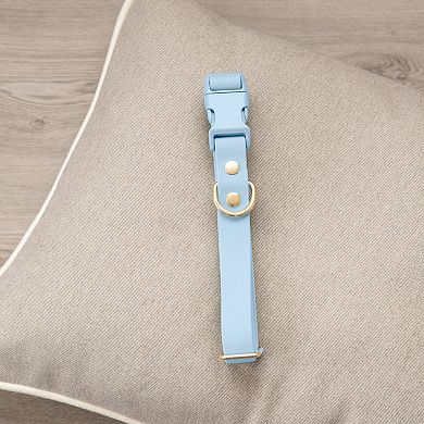 SportPet Solid Color Basic Dog Collar