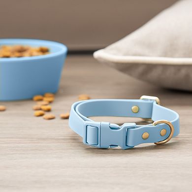 SportPet Solid Color Basic Dog Collar