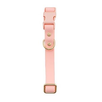 SportPet Solid Color Basic Dog Collar