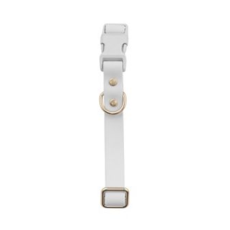 SportPet Solid Color Basic Dog Collar