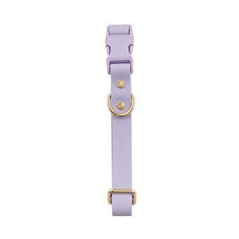 SportPet Solid Color Basic Dog Collar