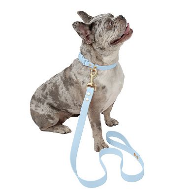 SportPet Solid Color Basic Dog Leash