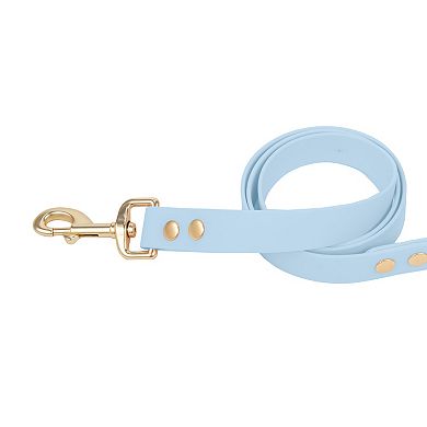 SportPet Solid Color Basic Dog Leash