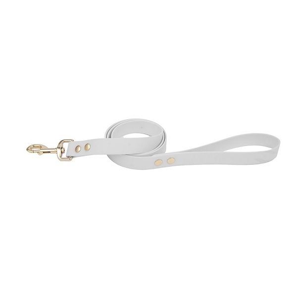 SportPet Solid Color Basic Dog Leash - Gray
