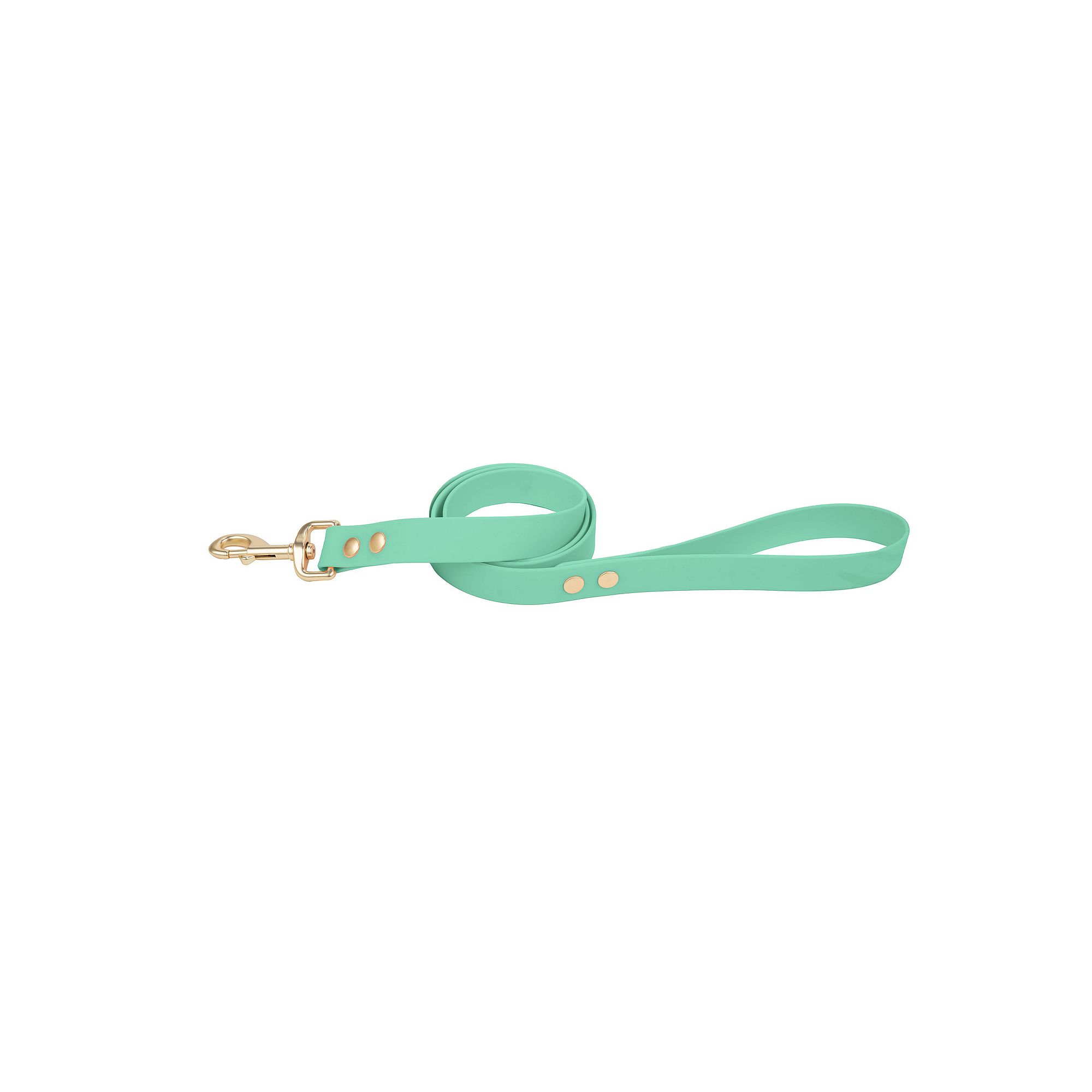 SportPet Solid Color Basic Dog Leash, Green
