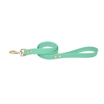SportPet Solid Color Basic Dog Leash
