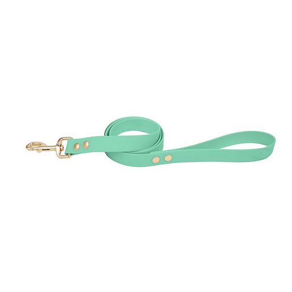 SportPet Solid Color Basic Dog Leash - Green