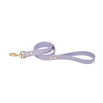 SportPet Solid Color Basic Dog Leash
