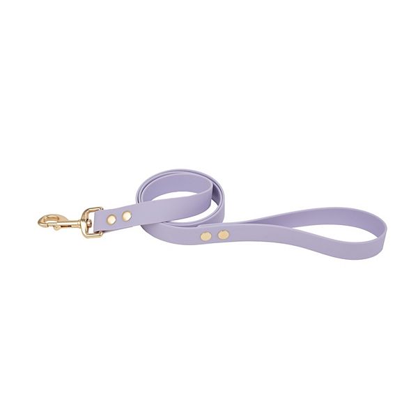 SportPet Solid Color Basic Dog Leash - Lilac