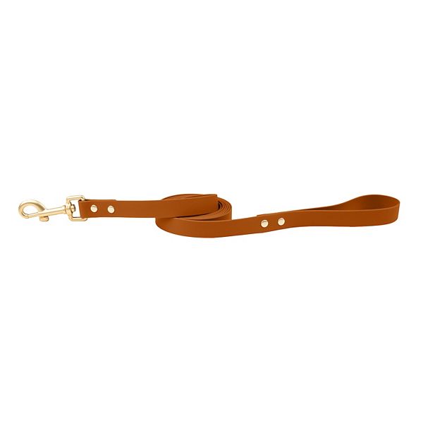 SportPet Solid Color Basic Dog Leash - Orange
