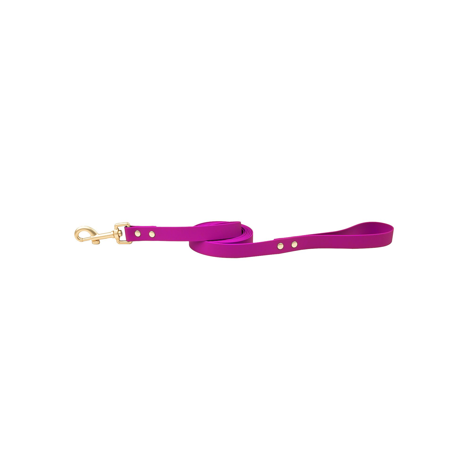 SportPet Solid Color Basic Dog Leash, Purple