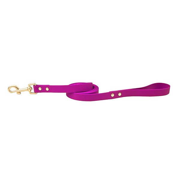 SportPet Solid Color Basic Dog Leash - Purple