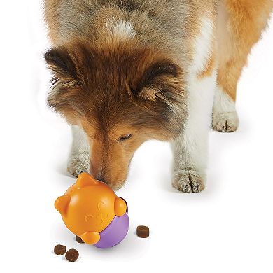 Brightkins Teacup Surprise! Treat Dispenser