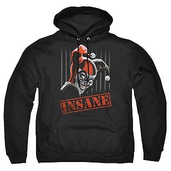 Batman Insane Adult Pull Over Hoodie
