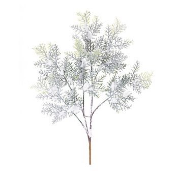 Flocked Cedar Branch (set Of 12)