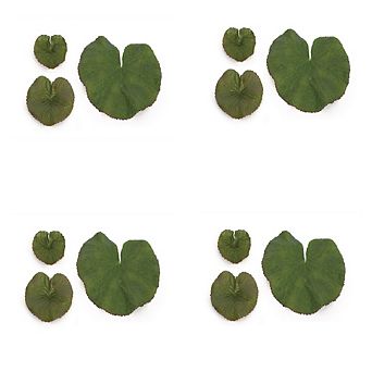Assorted Bag Of Leaves Filler (set Of 12)