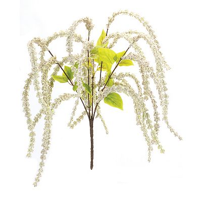 White Bush - 27 Inches (set Of 6)
