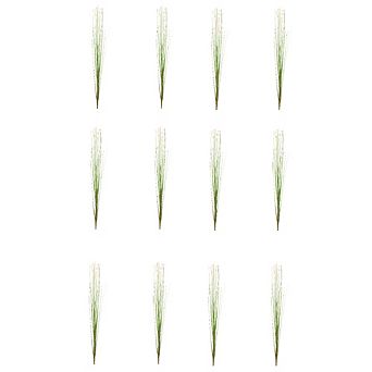 Foxtail Bush (set Of 12)
