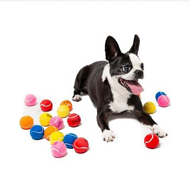 Midlee 1.5" Mini Dog Tennis Balls Bulk Set Of 25 Assorted Colors