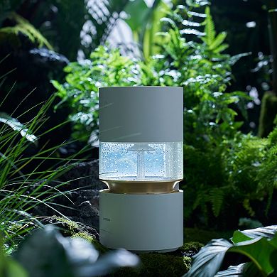 Smartmi Rainforest Humidifier