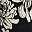 Black Estelle Floral