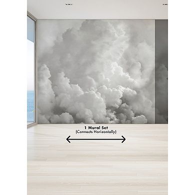 Brewster Home Fashions In the Clouds Wallpaper Mural Decals