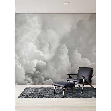Brewster Home Fashions In the Clouds Wallpaper Mural Decals