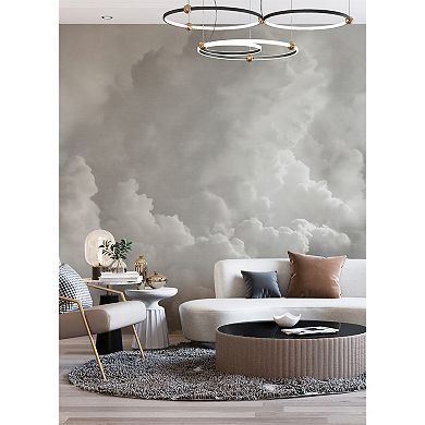 Brewster Home Fashions In the Clouds Wallpaper Mural Decals