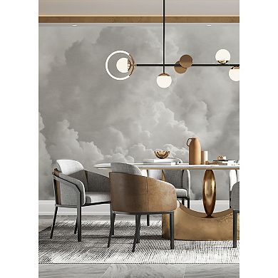 Brewster Home Fashions In the Clouds Wallpaper Mural Decals