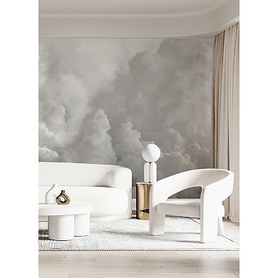 Brewster Home Fashions In the Clouds Wallpaper Mural Decals