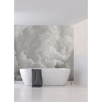 Brewster Home Fashions In the Clouds Wallpaper Mural Decals
