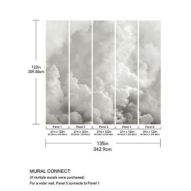 Brewster Home Fashions In the Clouds Wallpaper Mural Decals