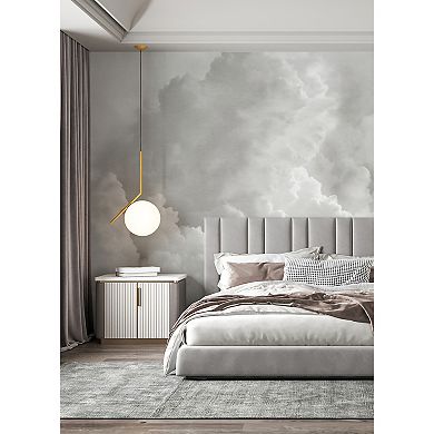 Brewster Home Fashions In the Clouds Wallpaper Mural Decals