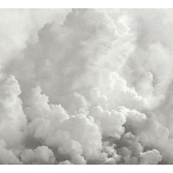 Brewster Home Fashions In the Clouds Wallpaper Mural Decals