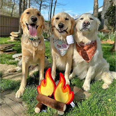 Midlee Campfire Dog Toy