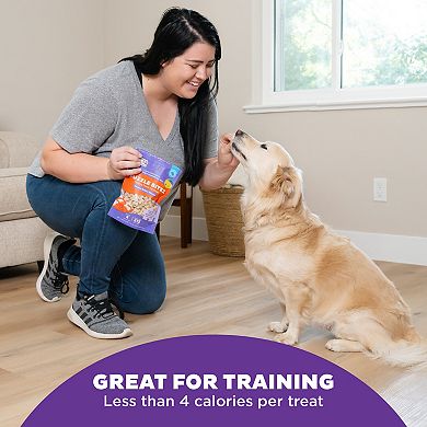 Outward Hound Puzzle Bitez Peanut Butter Training Treats