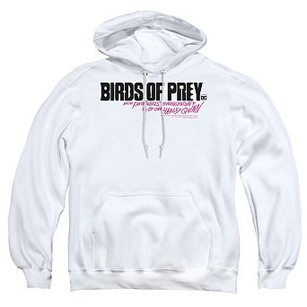 Birds Of Prey Horizontal Logo Adult Pull Over Hoodie