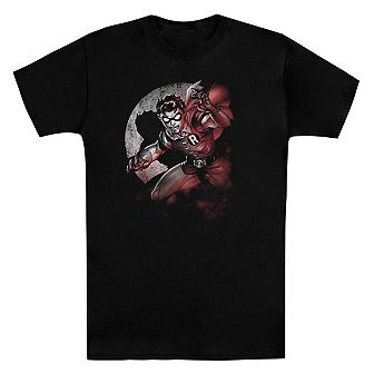 Batman Robin Spotlight Short Sleeve Adult T-shirt