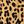 Tan Jana Leopard