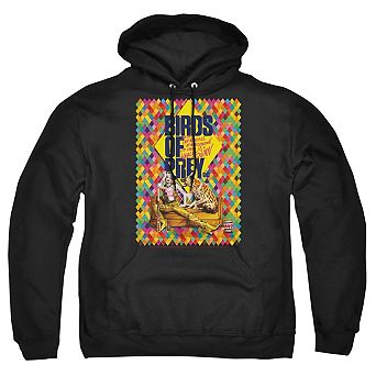 Birds Of Prey Couch Adult Pull Over Hoodie