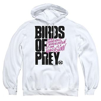 Birds Of Prey Birds Of Prey Logo Adult Pull Over Hoodie