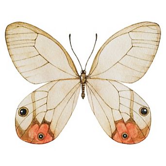 WallPops Butterfly Headboard Wall Decal