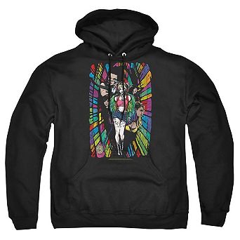 Birds Of Prey Color Corridor Adult Pull Over Hoodie
