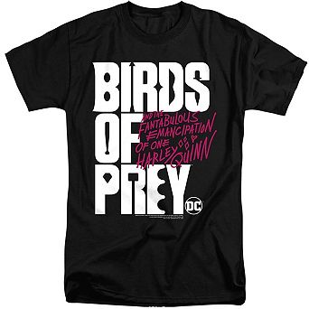 Birds Of Prey Birds Of Prey Logo Short Sleeve Adult Tall T-shirt