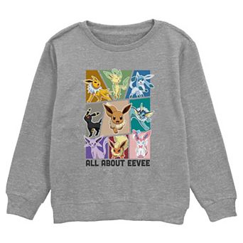 Boys Pokemon All About Eevee Boxes Graphic Fleece