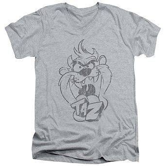 Looney Tunes Faded Taz Short Sleeve T-shirt